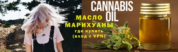шишки Горно-Алтайск