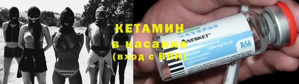 шишки Горно-Алтайск