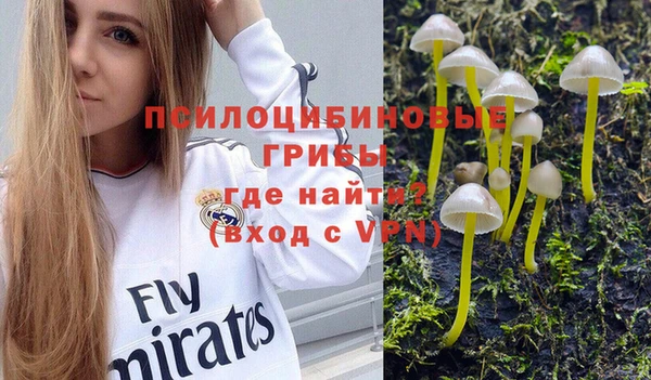 шишки Горно-Алтайск