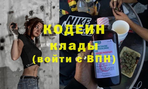 шишки Горно-Алтайск
