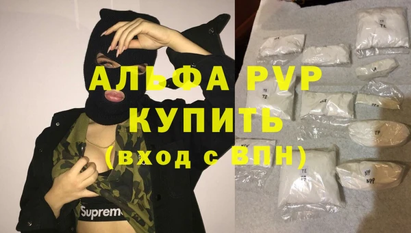 шишки Горно-Алтайск