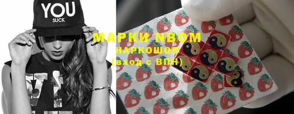 шишки Горно-Алтайск